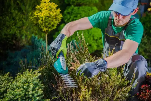 landscaping services Roosevelt
